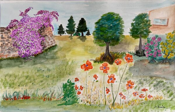Campos de primavera